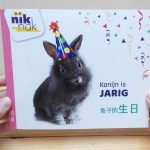 Konijn is jarig - cover met Chinees - tweetalig kinderboek van nik-nak