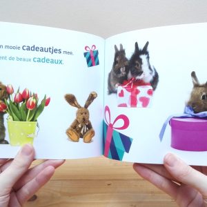 Konijn is jarig tweetalig kinderboek prentenboek voorlezen Frans_pagina