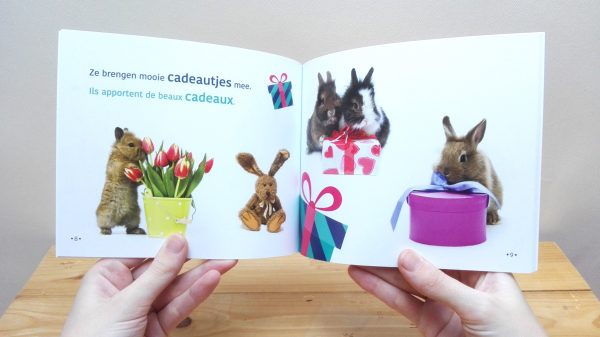 Konijn is jarig tweetalig kinderboek prentenboek voorlezen Frans_pagina
