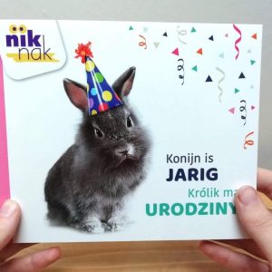 Konijn is jarig met Pools - Tweetalig kinderboek van nik-nak