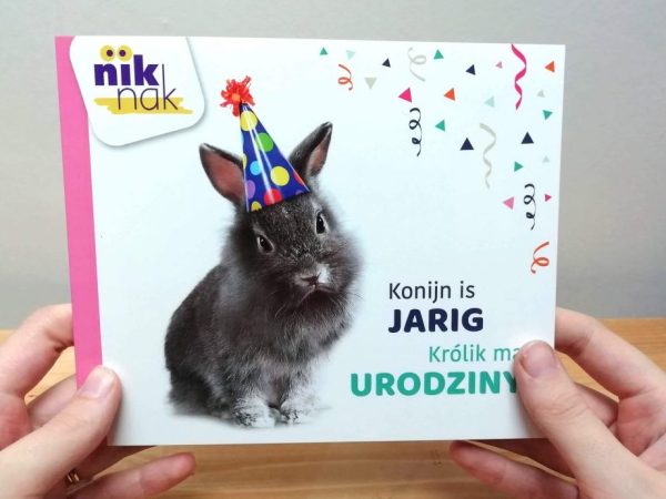 Konijn is jarig met Pools - Tweetalig kinderboek van nik-nak