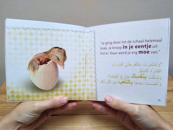 Waar kom ik vandaan? - pagina met Arabisch - tweetalig kinderboek van nik-nak