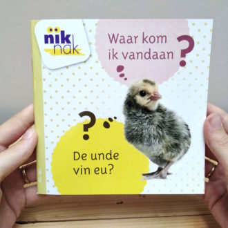 Waar kom ik vandaan? met Roemeens - cover - tweetalig kinderboek van nik-nak