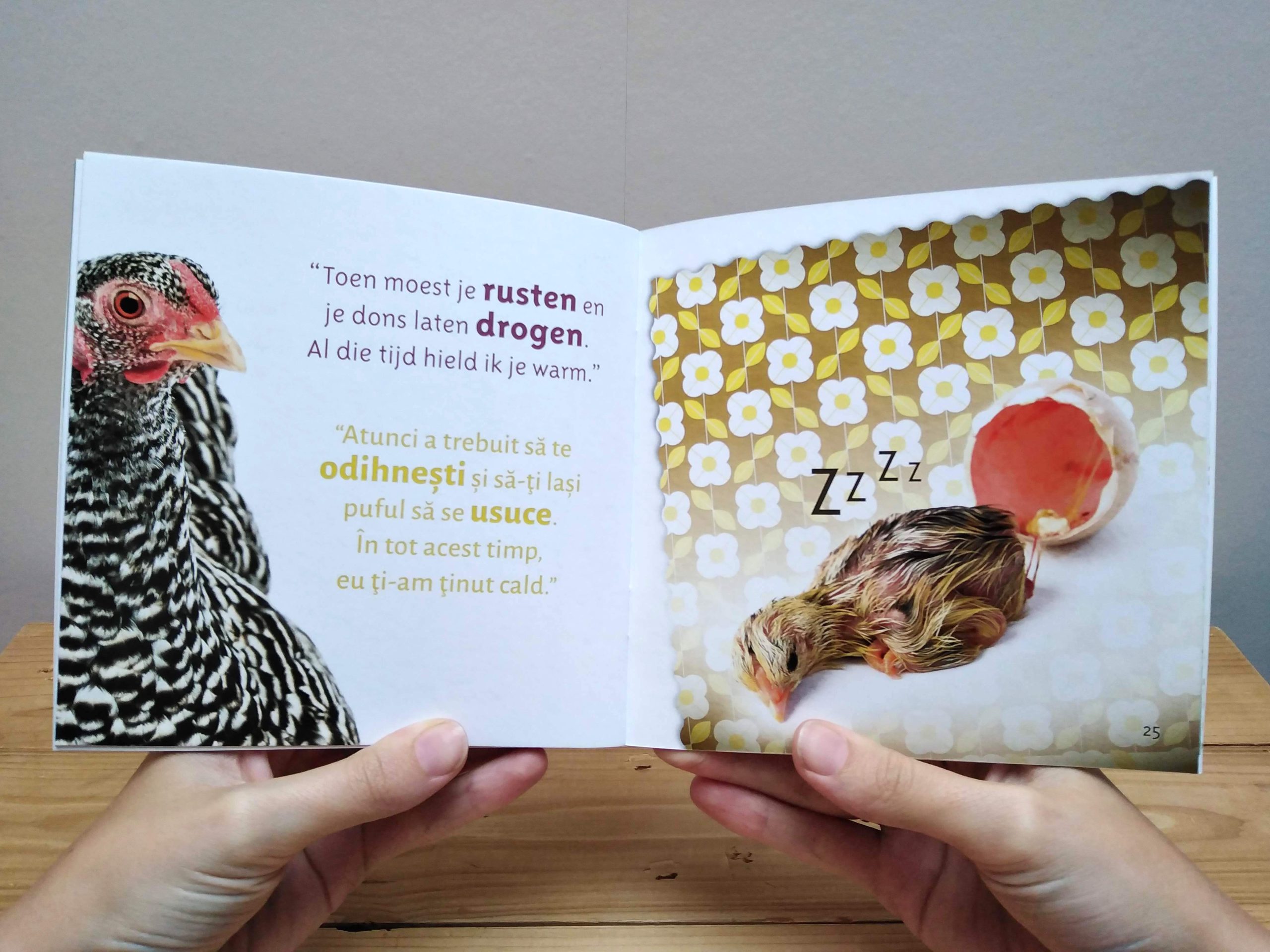Waar kom ik vandaan? - pagina met Roemeens - tweetalig kinderboek van nik-nak