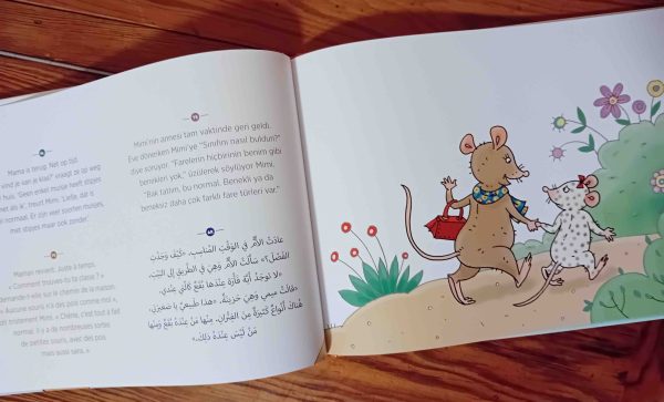 Mimi is cool meertalig kinderboek Frans Turks Arabisch_pagina